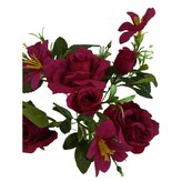 Růže kytička, 6 barev, Barva vínová  H370