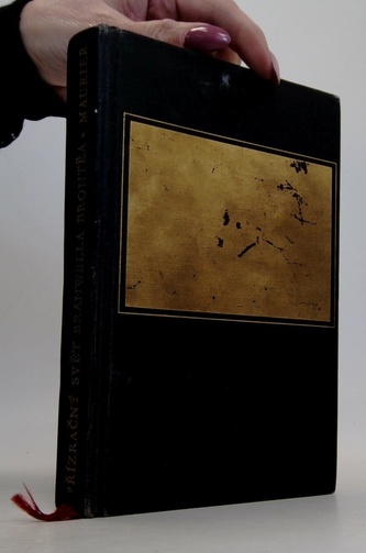 Přízračný svět Branwella Brontëa