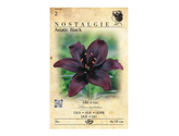 Lilie, asijské hybridy ASIATIC BLACK 1ks