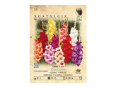 Gladiola velkokvětá, směs 50ks