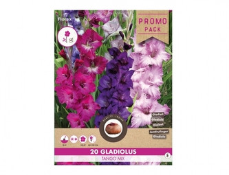 Směs PROMO Gladioly velkokvěté TANGO 20ks