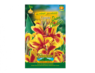 Dosna QUEEN CHARLOTTE 1ks