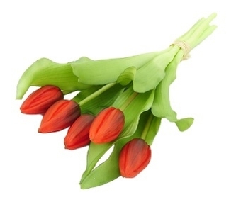 Kytice tulipánů 30 cm červená