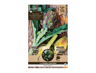 Artyčok CYNARA SCOLYMUS 1ks