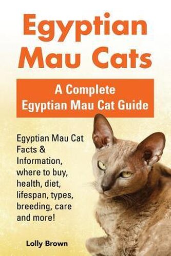 Egyptian Mau Cats: Egyptian Mau Cat Facts & Information, where to buy, health, diet, lifespan, types, breeding, care and more! A