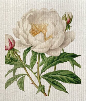 Hadřík na mytí nádobí Tulips