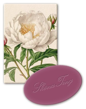 Dárkové mýdlo Peonies & Roses 25 g