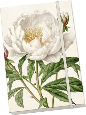 Notýsek Peonies & Roses