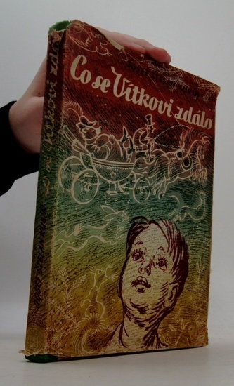 Co se Vítkovi zdálo