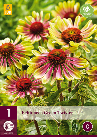 Karta - Třapatka Echinacea GREEN TWISTER (1 hlíza) "C"