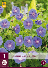 Karta - Geranium JOHNSON´S BLUE (1 hlíza) "B"