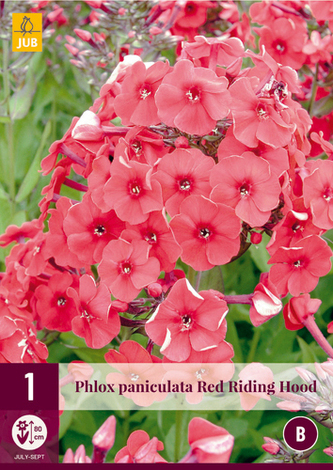 Karta - Plamenka RED RIDING HOOD (1 hlíza) "B"