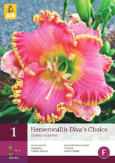 Karta - Denivka DIVA'S CHOICE (1 hlíza) "D"