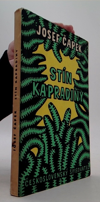 Stín kapradiny