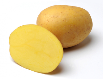 Brambory ANUSCHKA sadbové žluté velmi rané 10kg