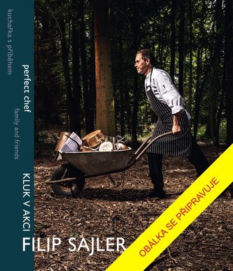 Filip Sajler Filip Sajler