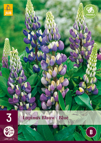 Karta - Lupina BLUE (3 hlízy) "B"