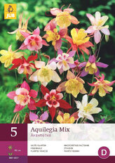 Karta - Orlíček MIX (5 hlíz) "B"