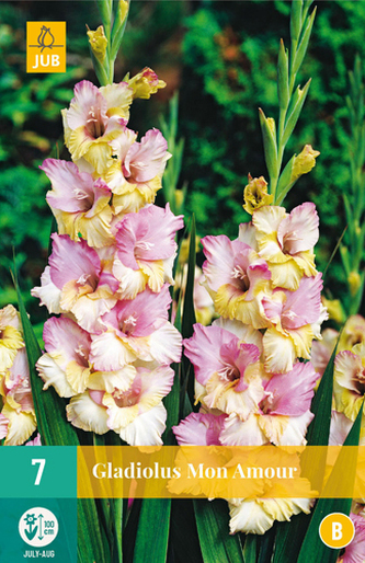 Karta - Mečík MON AMOUR (7 cibulí) "B"