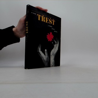 Třešť: včera, dnes, zítra