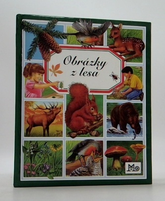 Obrázky z lesa