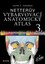 Netterův vybarvovací anatomický atlas