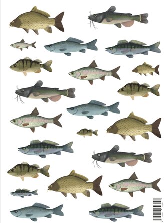 Be Nice samolepky - Ryby