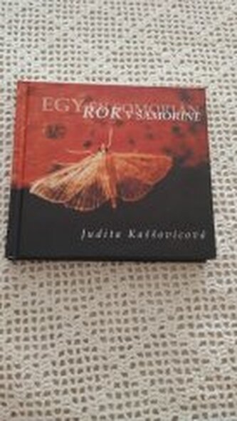 Rok v Šamoríně: Egy év Somorján