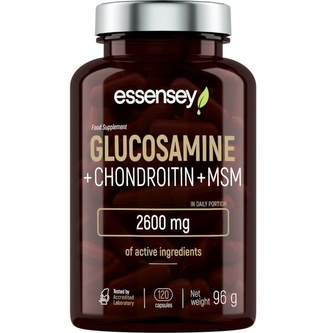 GLUKOSAMIN CHONDROITIN MSM 120 KAPSLÍ ESSENSEY