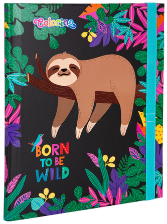 Teczka z gumką przestrzenna kartonowa Wildkid Colorino School, Patio