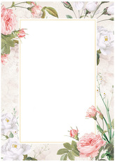 Dyplom A4 Bella 170g op. 25 ark., Galeria Papieru