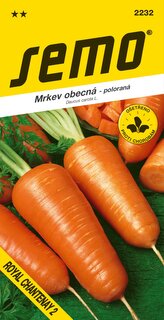 Mrkev - Royal Chantenay 2 poloraná 3g