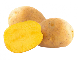 Brambory SUNITA sadbové žluté velmi rané 10kg