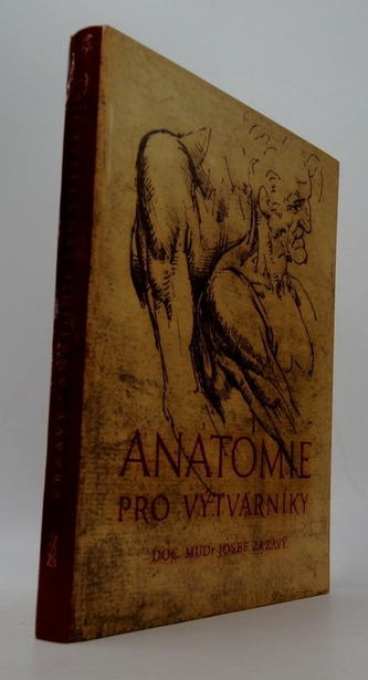Anatomie pro výtvarníky