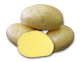 Brambory DALI sadbové žluté rané 10kg