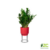 Obal B.For Studio Round - brilliant red 22 cm