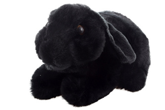 Plyš králík černý 22 cm ECO-FRIENDLY