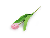 Umělý tulipán - 1 ks - 3 růžová sv.