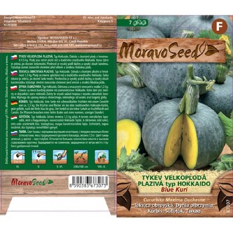 Tykev velk. plaz. modré HOKK. BLUE KURI_7 s