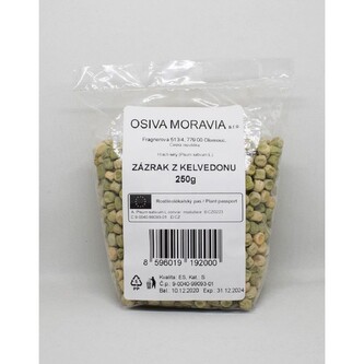 Hrách zahradni ZÁZRAK Z KELVEDONU_250 g