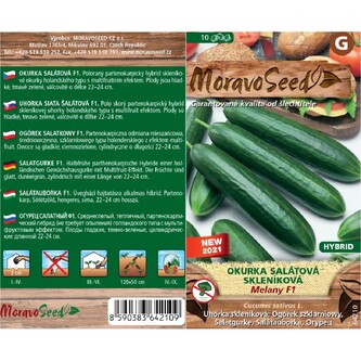 Okurka sal. had. MELANY F1_10 s