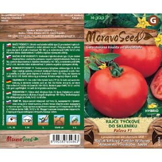 Rajče tyč. TOP PALAVA F1_30 s