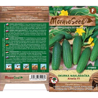 Okurka nakl. jemn. AMELIA F1_40 s