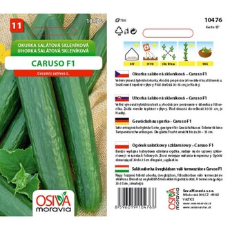 Okurka sal. had. rychl.CARUSO F1_10 s
