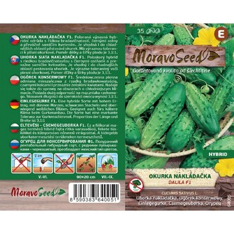 Okurka nakl. hrub. DALILA F1_35 s