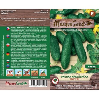 Okurka nakl. jemn. TWIGY F1_30 s