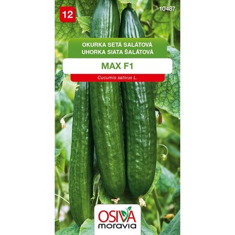 Okurka sal. had. MAX F1_10 s