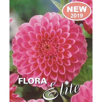 Jiřina Ball Sandra I, 1 ks