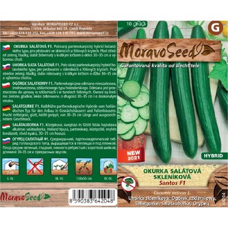 Okurka sal. had. SANTOS F1_10 s