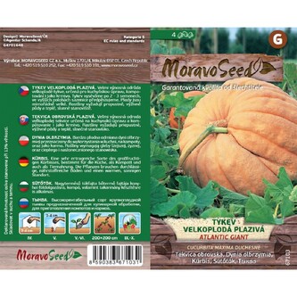 Tykev velk. plaz. maxi ATLANTIC GIANT_4 s